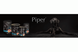 Piper