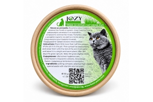 Cat grass in cardboard packaging