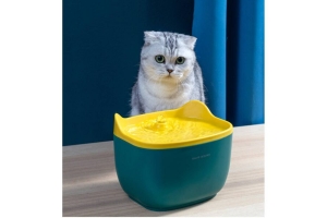 Water fountain with little ears